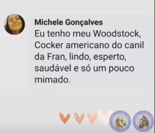 Depoimento de Clientes