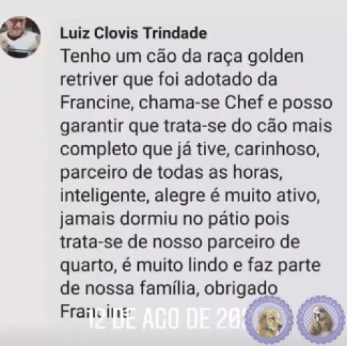 Depoimento de Clientes