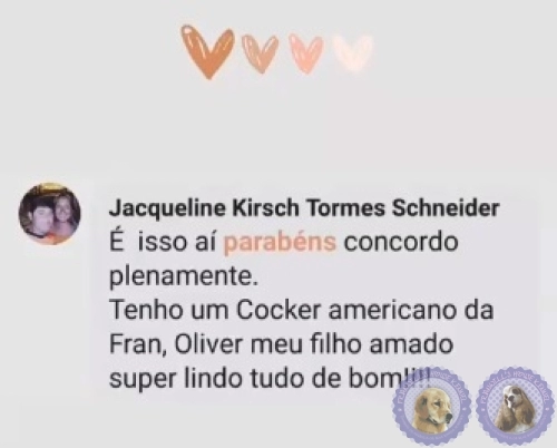 Depoimento de Clientes