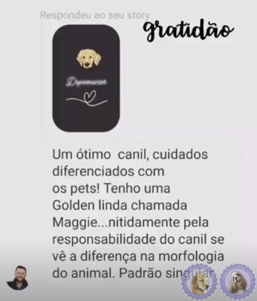 Depoimento de Clientes