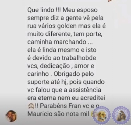 Depoimento de Clientes