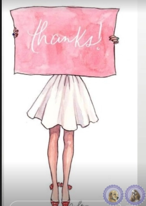 Depoimento de Clientes