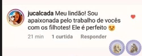 Depoimento de Clientes