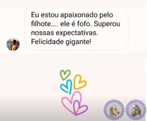 Depoimento de Clientes