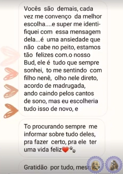 Depoimento de Clientes