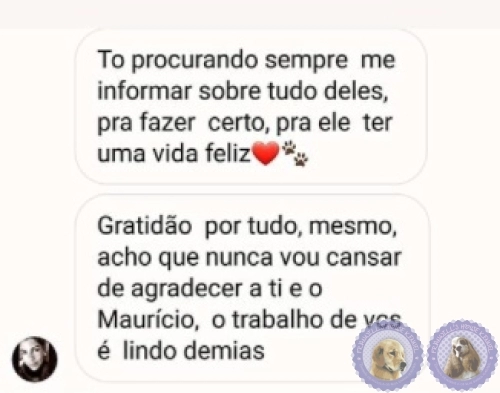 Depoimento de Clientes