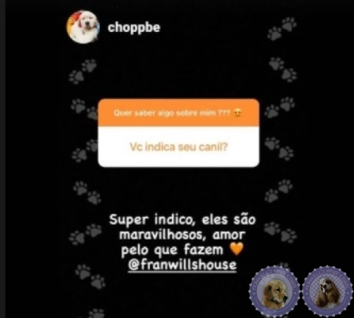 Depoimento de Clientes