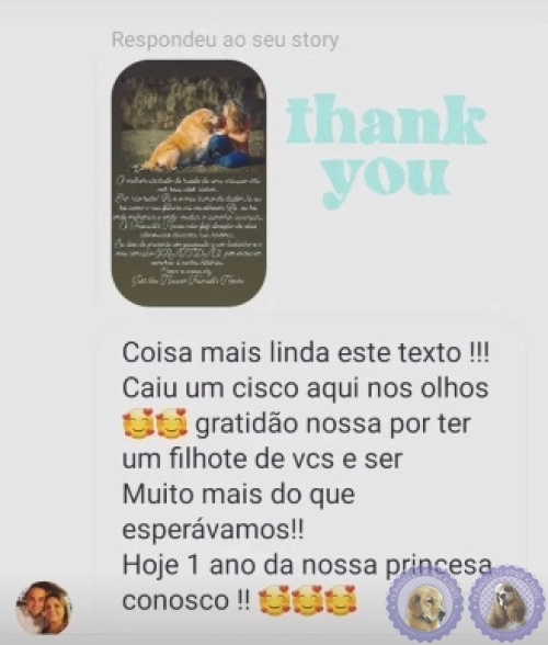 Depoimento de Clientes