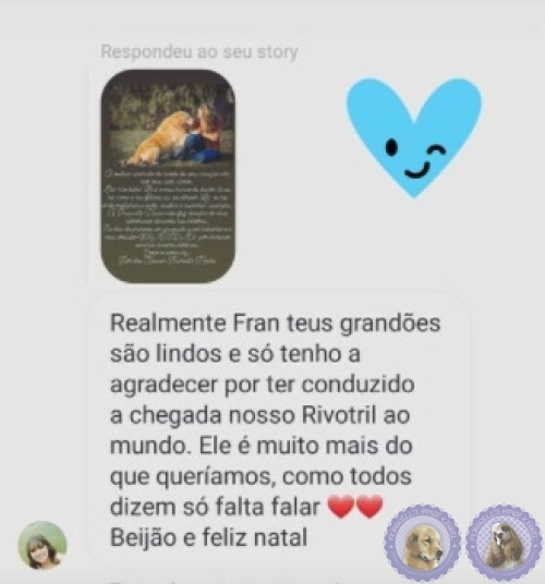 Depoimento de Clientes