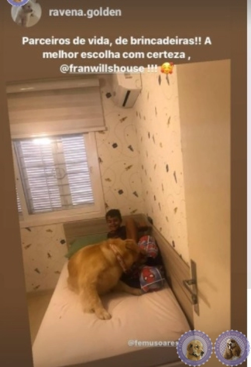 Depoimento de Clientes